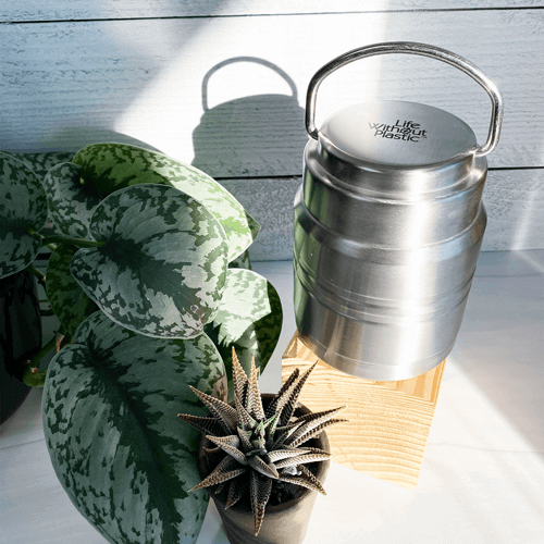 Stainless Steel Vacuum-Insulated Food Storage Canister - 12 ounces