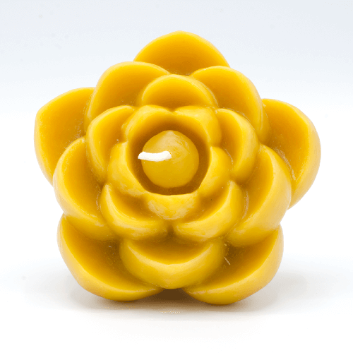 Beeswax Candles- Lotus Flower - 100% Pure Beeswax